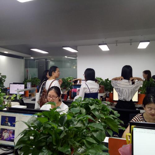 大河票务网2019年中会议分公司同事接待工作圆满落幕,会议将于6月4日